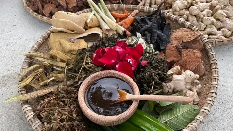Chuyển sang dầu gội thiên nhiên – Những gì bạn cần biết 